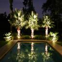 Landscape Lighting