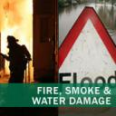 Water damage is the root cause of mold growth. Mold needs moisture to grow.