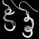 Worm Earrings