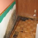 Mold grows on organic materials that have enough moisture in the air.