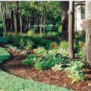 Hosta Garden