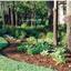 Hosta Garden