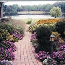 Perennial Garden
