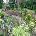 Rain Garden