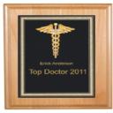 Caduceus Plaque