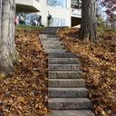 Steps