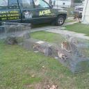 ACME Animal Removal
