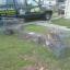 ACME Animal Removal