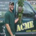 Bee-Hornet-Wasp Control Services