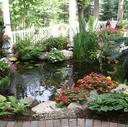 Water Garden