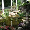 Water Garden