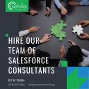 Hire Our Team of Salesforce Consultants