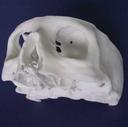 forensics investigation plastic models