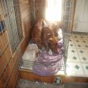 Roo and Bailey were in trouble.