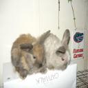 Aww, they are so cute.