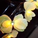 handmade fairy lights from thailand