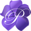 Plumeria Botanical Boutique