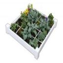 4x4 Square Foot Garden