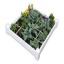 4x4 Square Foot Garden