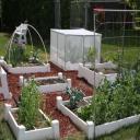 Square Foot Garden Layout