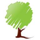 Tree Service Indianapolis IN