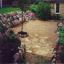 Flagstone Steppers