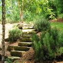 Natural Stone Steps