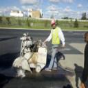 Asphalt cutting