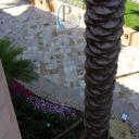 Travertine marble pavers - residential driveway remodel