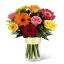 Roses and Gerbera Daisies