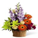 Spring Flowers