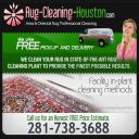 Rug Cleaning Services