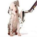 R&R CARPET CLEANING HOUSTON TEXAS 832-435-6054