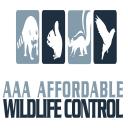 AAA AFFORDABLE WILDLIFE CONTROL