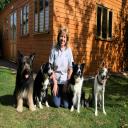 Lynda with her dogs