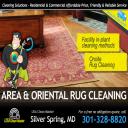 Rugs need cleaning too!