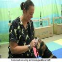 Come meet our caring and knowledgeable vet staff