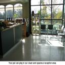 Your pet can play in our clean and spacious reception area