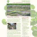 Website design