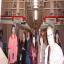 alcatraz island + prison  night tour