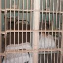 alcatraz island tours from san francisco ca