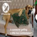 Time to clean your upholstery!