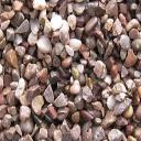 20mm Staffordshire Gravel