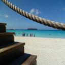 Looking for a boat tour agency in WA? Contact Cruise Holidays of Woodinvill