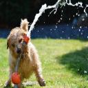 Sprinkler Maintenance