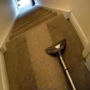 Carpet Cleaning