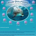 Raw Dolphins Website Design