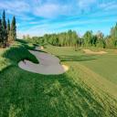 Hole #8 - Arizona