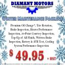 Winter Promo