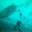 Oakville Divers Scuba Shop